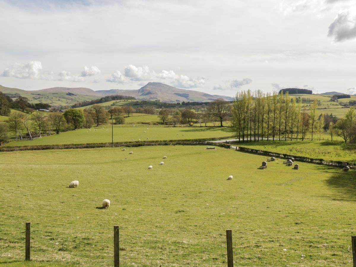 Cyffdy Cottage - Arenig Bala Luaran gambar